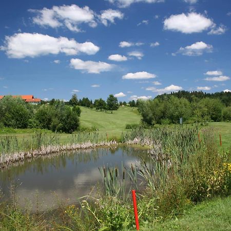 Anetseder Landhotel & Lofts Thyrnau Εξωτερικό φωτογραφία